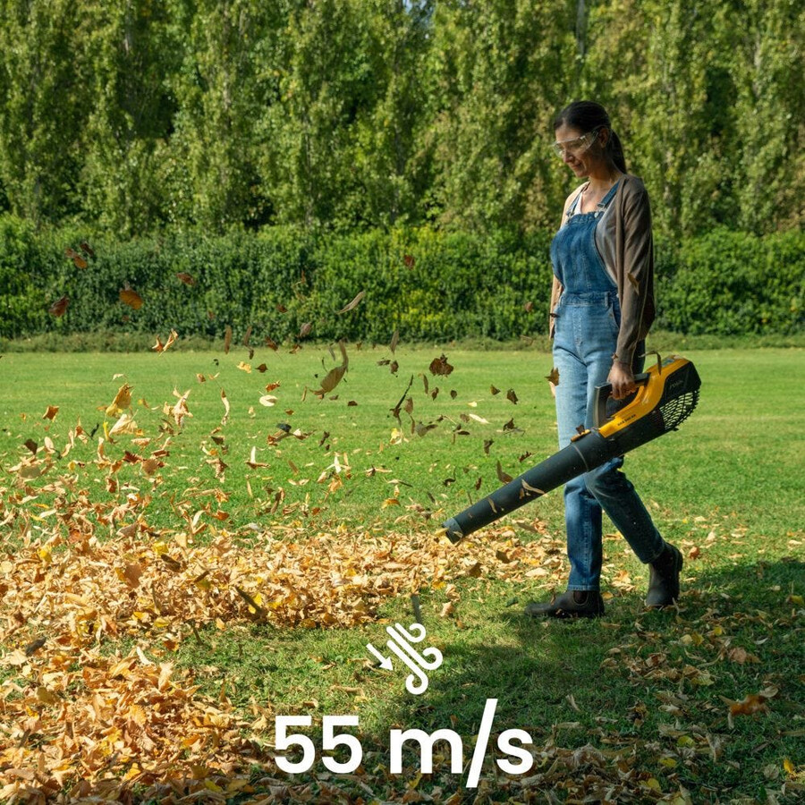 souffleur de feuilles sans fil - bl 500e