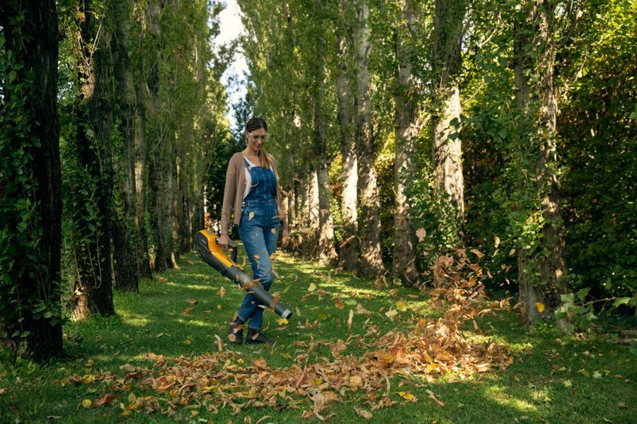 souffleur de feuilles sans fil - bl 500e