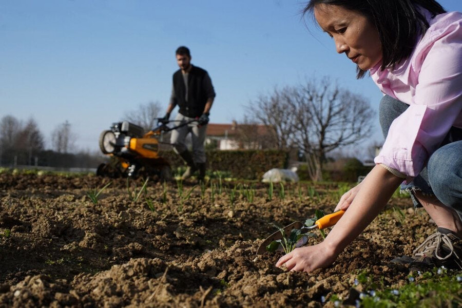 outil de jardin à main - truelle à transplanter
