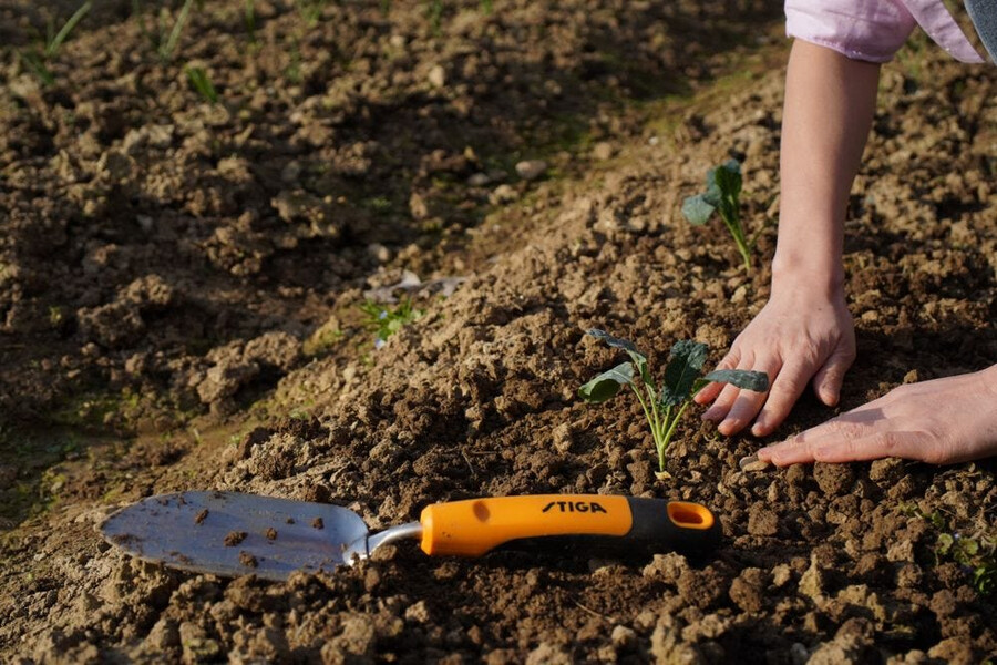 outil de jardin à main - truelle à transplanter
