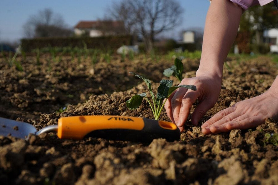 outil de jardin à main - truelle à transplanter