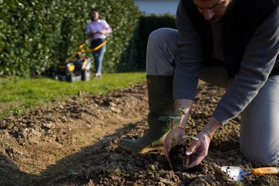 outil de jardin à main - truelle à transplanter