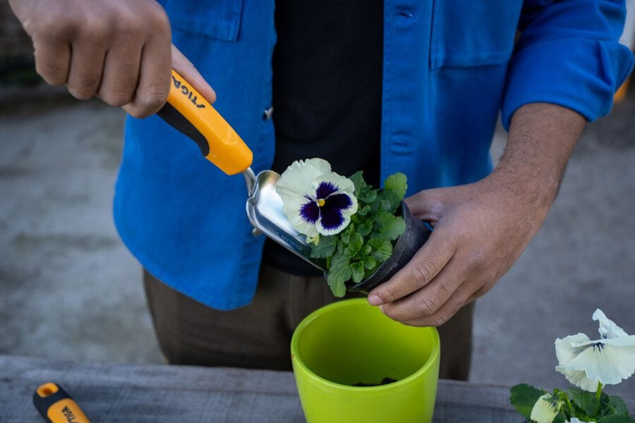 outil de jardin à main - truelle à transplanter