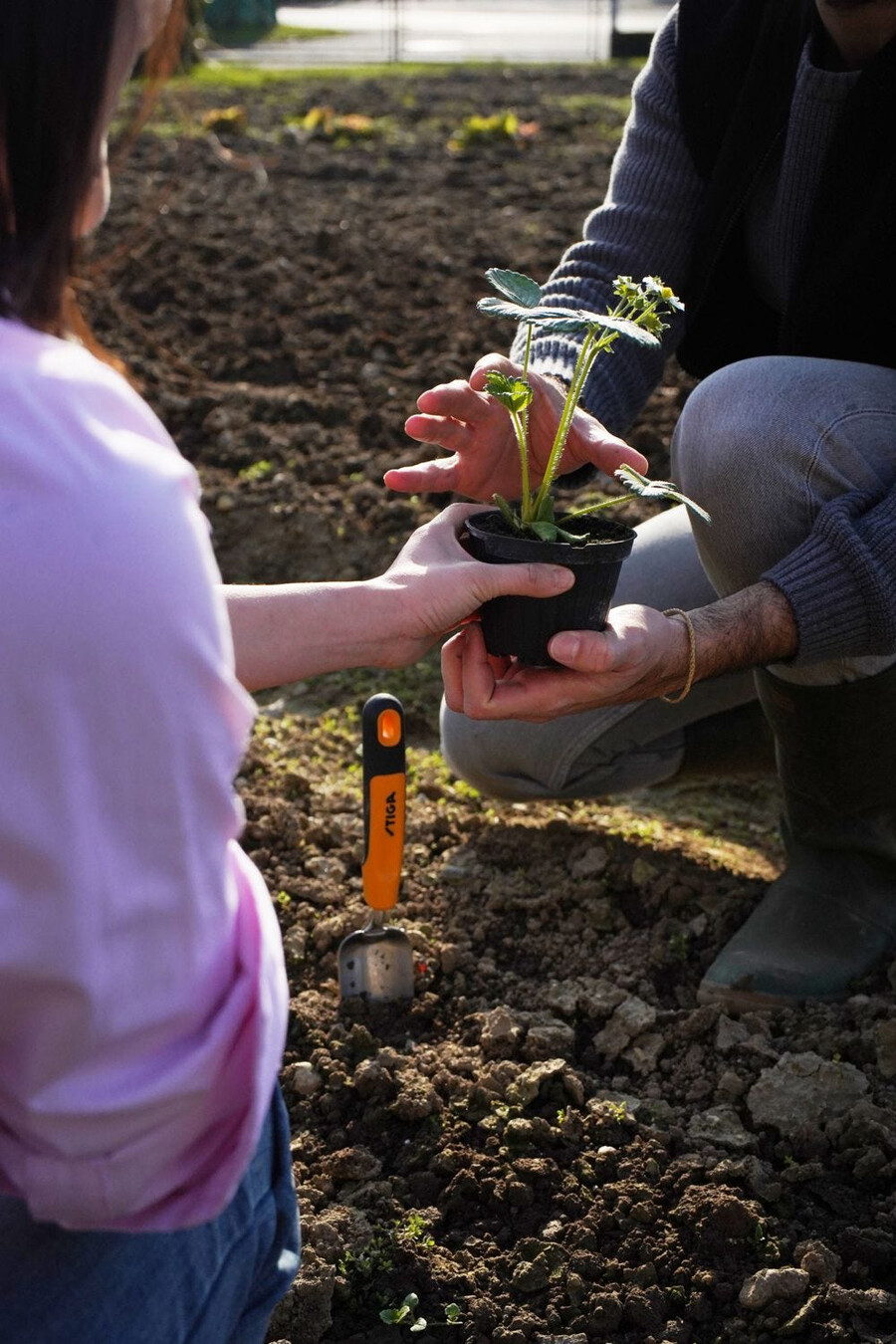 outil de jardin à main - truelle à transplanter
