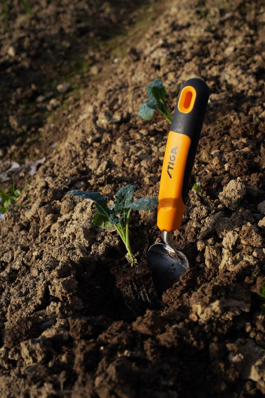 outil de jardin à main - truelle à transplanter