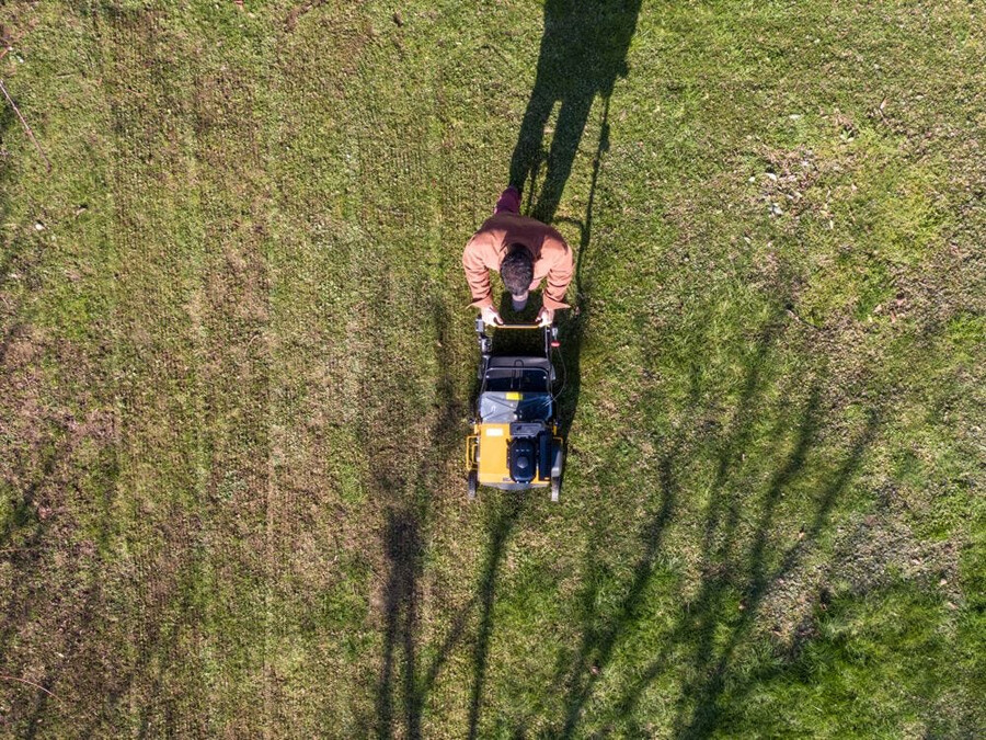 scarificateur de pelouse à essence - svp 40 g